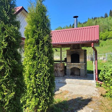 Apartamento Карпатська Мавка Vorokhta Exterior foto