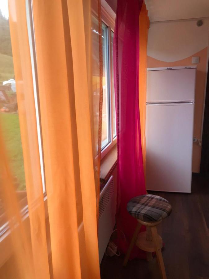 Apartamento Карпатська Мавка Vorokhta Exterior foto